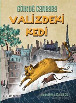 Valizdeki Kedi