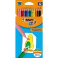 Bic Kids Tropicolors Kuru Boya Kalemi 12 Renk